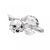Lying Kitten 17 x 32 mm, Crystal Gifts and Decoration PRECIOSA