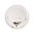 Plate Just Relax 23 / 23 / 2cm, Fine Bone China, P. Schnellhardt, Goebel