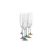 Spectrum 190 ml Rainbow - colour set, Champagne glass, 6 pcs., Crystalex