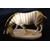 Zebra 11 x 5,5 x 7,5 cm, Porcelain Figures Duchcov