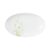 Liberty green grass: Oval dish flat small 24 x 14,5 cm, Seltmann porcelain