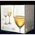 Lara 250 ml, sklenička na víno, 6 ks., Bohemia Crystalex