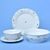 Dinner set 13 pcs., red flowers + green, G. Benedikt 1882