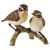 Pair of Whinchats 11 / 8 / 11 cm, porcelain, Goebel