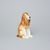 Pes kokršpaněl 9 x 6 x 13,5 cm, Porcelánové figurky Duchcov