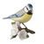 Blue Tit 9 / 9 / 9 cm, Biscuit china, Goebel