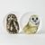 Owls: Plate dessert 20 cm, Roy Kirkham fine bone china