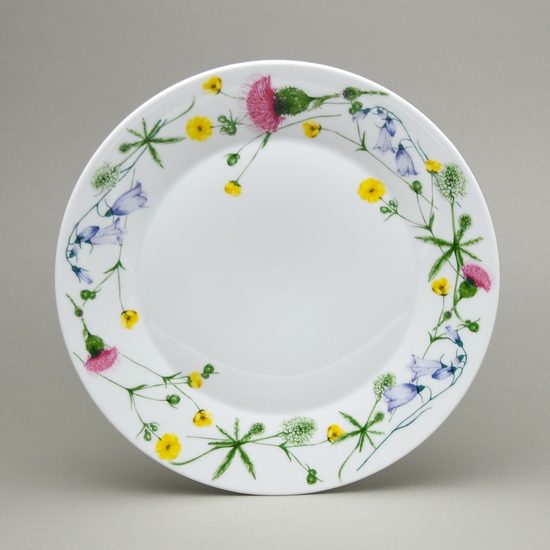 Tom Thistle: Dinner plate 27 cm, Thun 1794, karlovarský porcelán