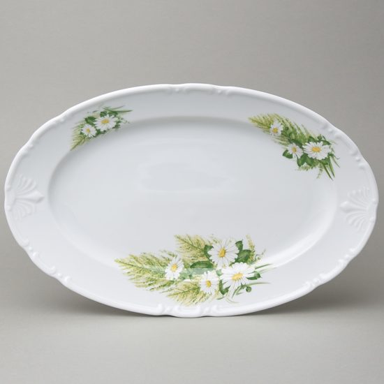Dish oval 35 cm, Thun 1794, karlovarský porcelán, CONSTANCE 80262 daisy
