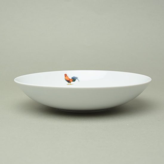 KOHOUT: Talíř hluboký ELEGANCE 22 cm,Thun 1794 a.s.