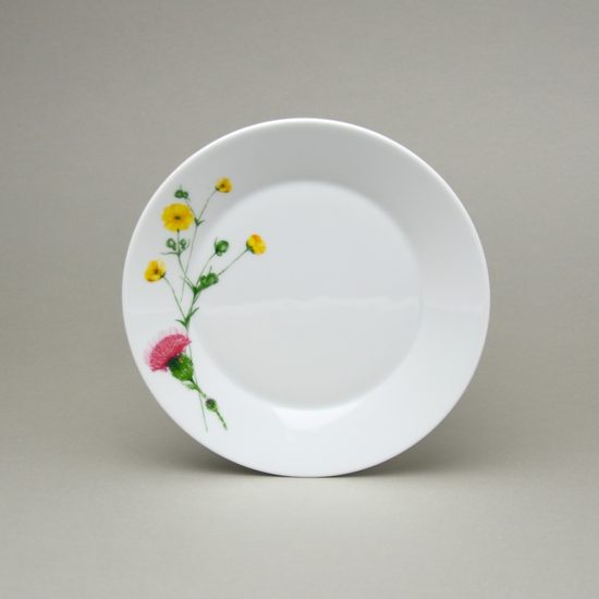 Tom Thistle: Dessert plate 19 cm Thun 1794, karlovarský porcelán