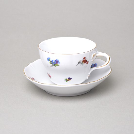 Šálek a podšálek C + C 250 ml / 15,5 cm na čaj, rakouská házenka