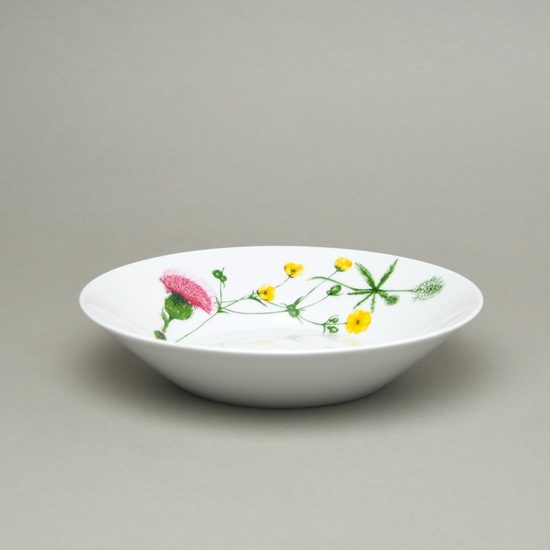 Tom Thistle: Soup plate (bowl) 22 cm, Thun 1794, karlovarský porcelán