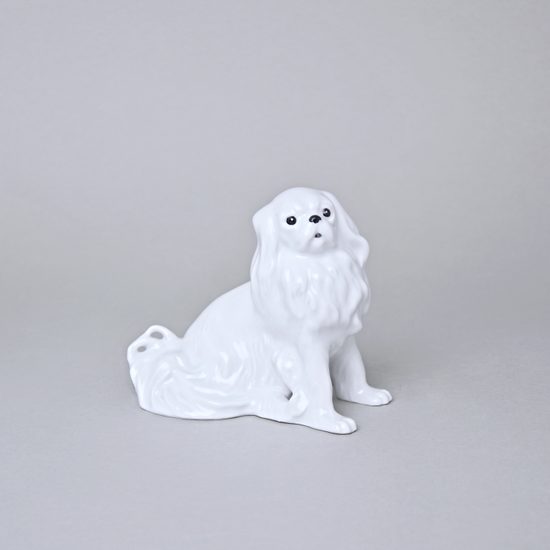 Pes Kavalír king Charles španěl, 13 x 7,2 x 11 cm, bílé, Porcelánové figurky Duchcov