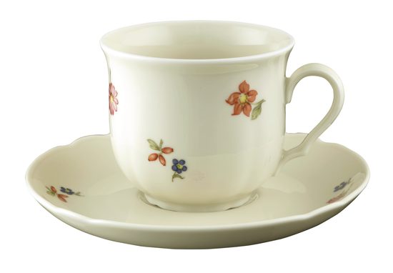 Coffee cup 210 ml and saucer, Marie-Luise 44714, Seltmann Porcelain