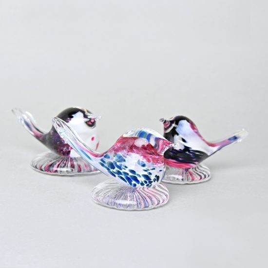 Bird, Pačinek GLASS