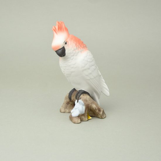Papoušek 18 cm, pastel, Porcelánové figurky Duchcov