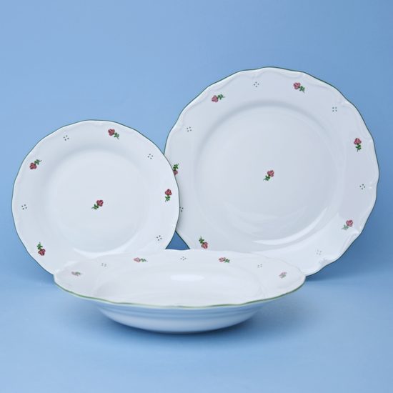 Plate set for 6 pers., Verona red flowers + green, G. Benedikt 1882