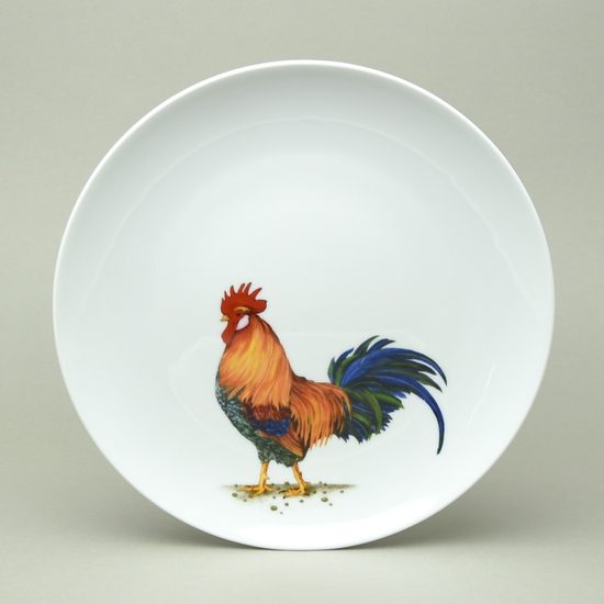 KOHOUT: Talíř mělký ELEGANCE 27 cm, Thun 1794 a.s.