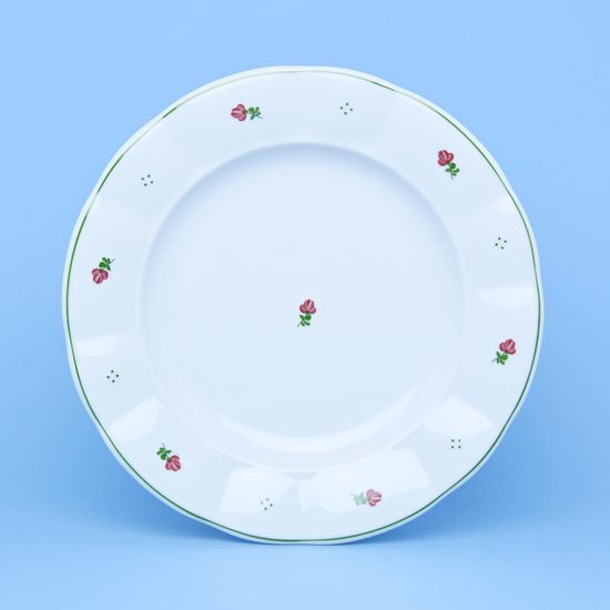 Talíř mělký 24 cm, Benedikt červené kvítí + zelená, G. Benedikt 1882