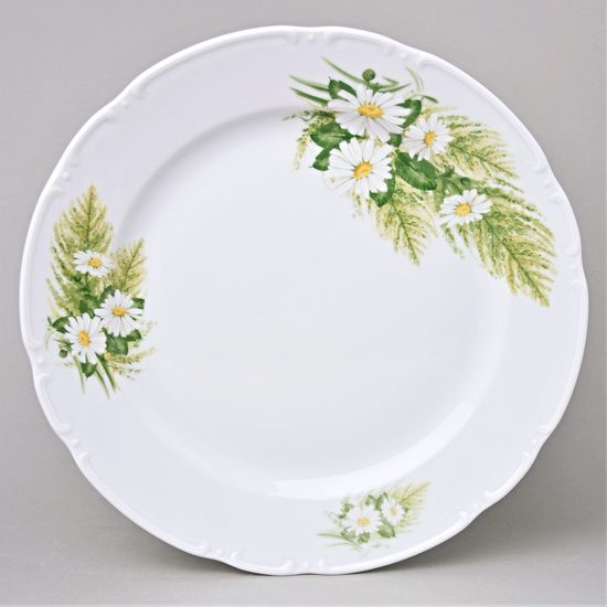 Club plate 30 cm, Thun 1794, karlovarský porcelán, CONSTANCE 80262 daisy