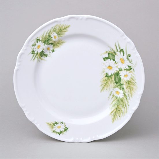 Talíř mělký 24 cm, Thun 1794, karlovarský porcelán, CONSTANCE 80262 kopretiny