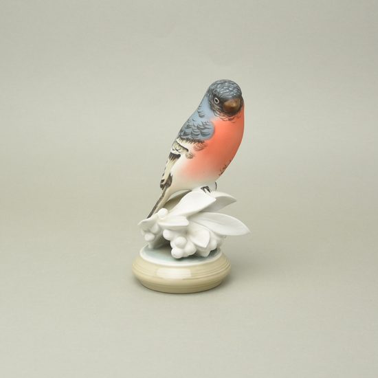 Bullfinch bird 12,5 x 10,5 x 19,5 cm, Porcelain Figures Duchcov