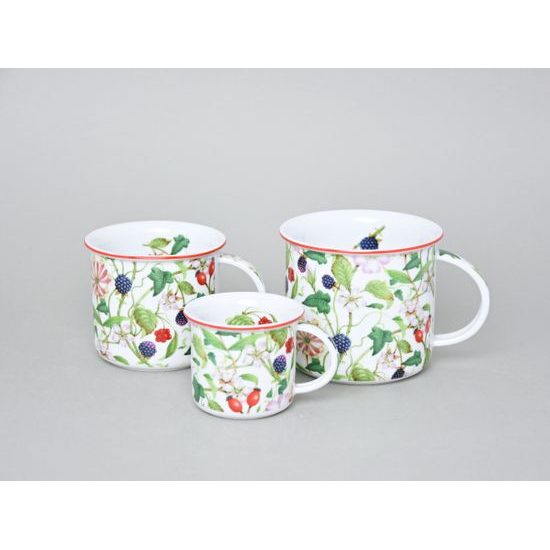 Mug Tina Fantasia, Rosehip And Blackberry, 240 ml, middle, Cesky porcelan a.s.