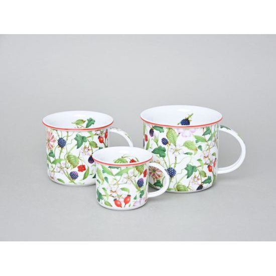 Mug Tina Fantasia, Rosehip And Blackberry, 0,25 l middle, Cesky porcelan a.s.