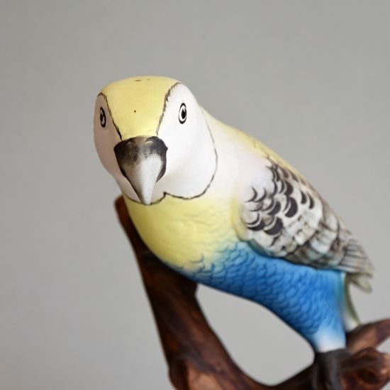 Parrot of Australian (yellow-blue), 13,5 x 13,5 x 28 cm, Pastel, Porcelain Figures Duchcov