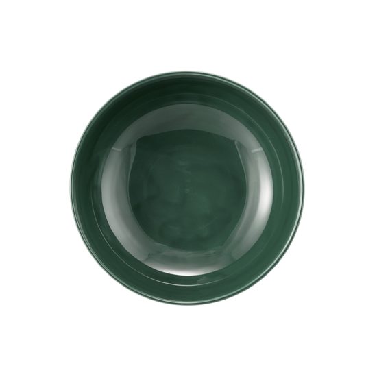 Terra MOSS GREEN: Miska 17,5 cm, porcelán Seltmann