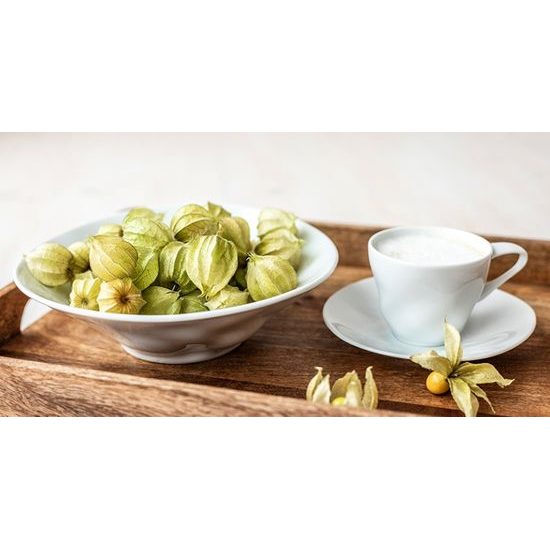 Cup 80 ml espresso, Flamenco, G. Benedikt 1882