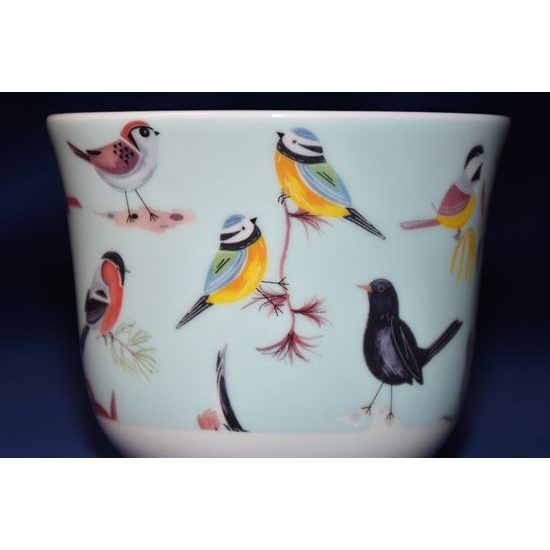 Bird Song: Cup 420 ml and saucer breakfast, Fine Bone China, Roy Kirkham