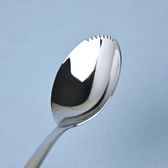 Spoon for Kiwi/Grep 13,8 cm, Blue Onion Pattern