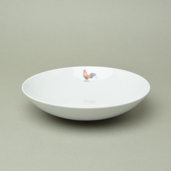KOHOUT: Talíř hluboký ELEGANCE 22 cm,Thun 1794 a.s.