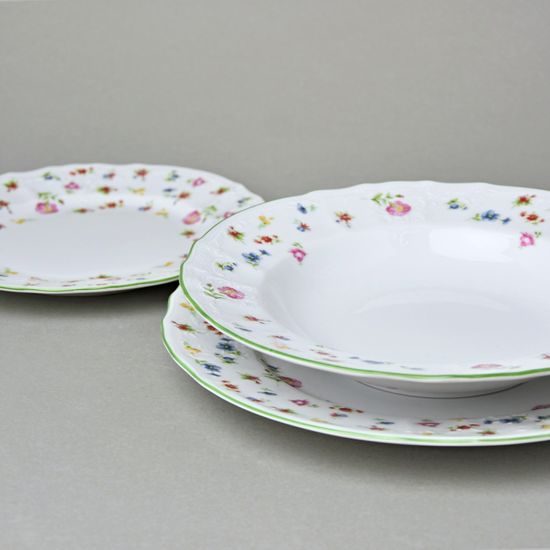 Plate set for 6 persons, Thun 1794 Carlsbad porcelain, BERNADOTTE 7570a57