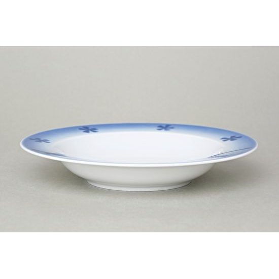 Plate deep 23 cm, Thun 1794 Carlsbad porcelain, BLUE CHERRY