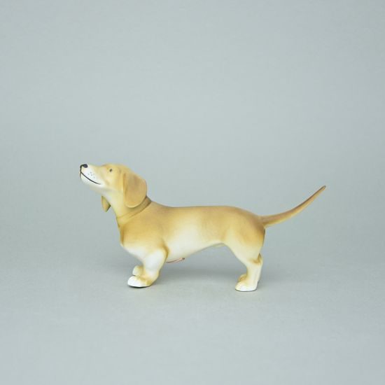 Pes ratlík 16,5 x 6 x 8,5 cm, pastel, Porcelánové figurky Duchcov