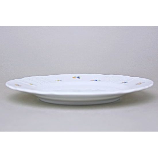 Talíř mělký 25 cm, Thun 1794, karlovarský porcelán, BERNADOTTE házenka
