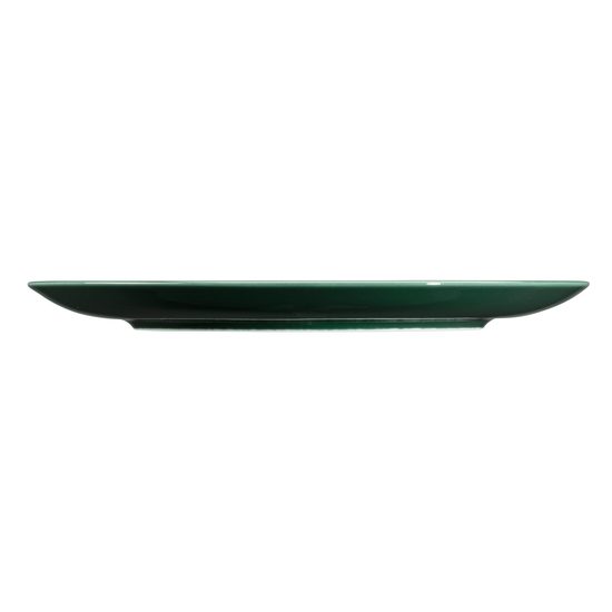 Terra MOSS GREEN: Talíř mělký 27,5 cm, porcelán Seltmann