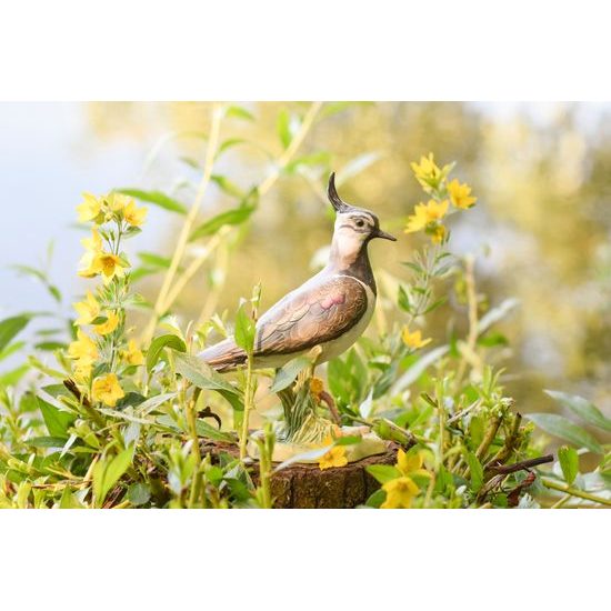Figurka Čejka veliká 14 / 9 / 18 cm, biskvitový porcelán, pták roku 2024, Goebel