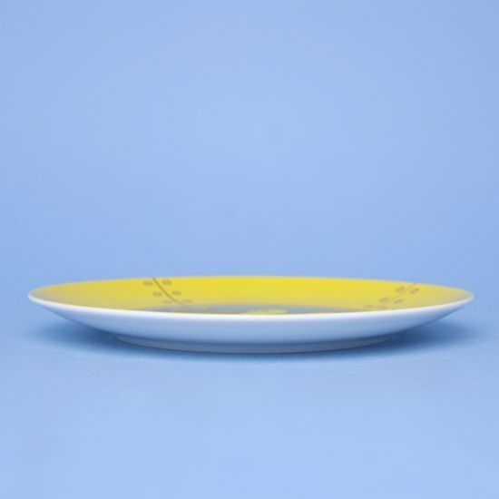 Plate dining 21 cm Submarine, Thun 1794, karlovarský porcelán