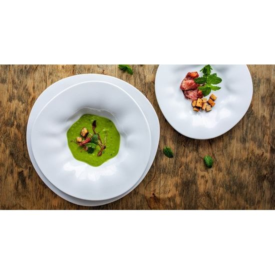 Dinnig set for 4 pers. 21 pcs., Flamenco, G. Benedikt 1882