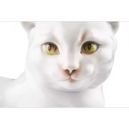 Cat11 x 13,5 x 7,5 cm, Meissen porcelain figures