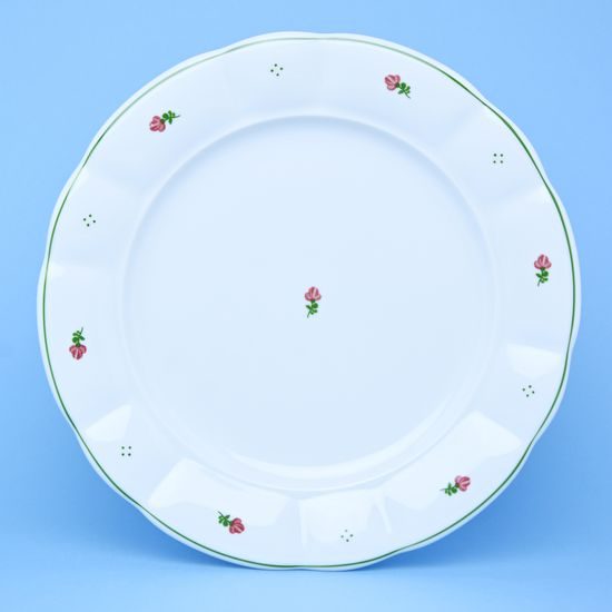 Dinner set 13 pcs., red flowers + green, G. Benedikt 1882