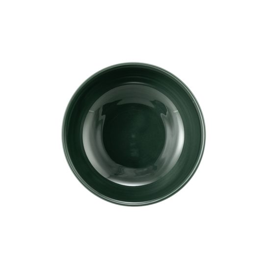 Terra MOSS GREEN: Miska na cereálie 15 cm, porcelán Seltmann