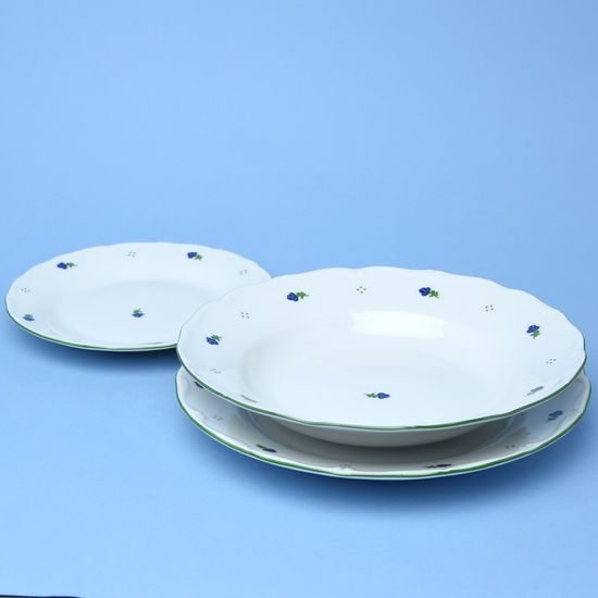 Plate set for 6 pers. 25,24,19, Verona blue flowers + green, G. Benedikt 1882