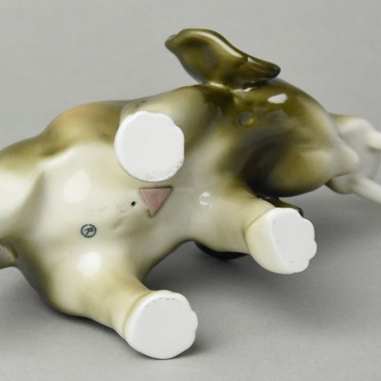 Slon 22 x 17 cm, Luxor, Porcelánové figurky Duchcov