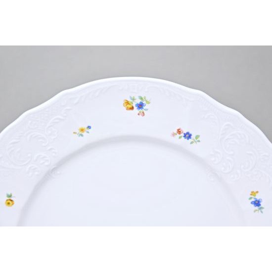 Talíř mělký 25 cm, Thun 1794, karlovarský porcelán, BERNADOTTE házenka