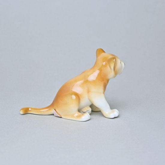 Lvíče 13 x 8 x 6 cm, Luxor, Porcelánové figurky Duchcov